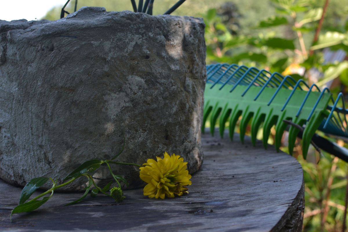 Да будет вознагражден садовод за труды свои и терпение