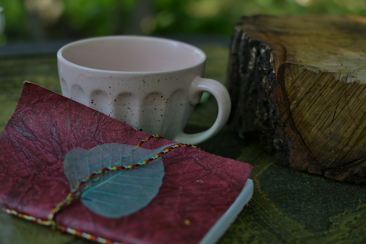 Ждать и строить планы - вот удел садовода зимой. 