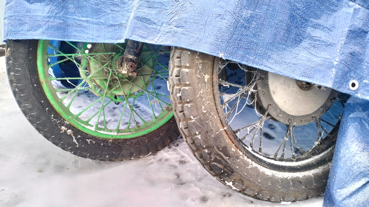 Хорошо хоть зима, и сарайная живность не устроила нам кровавую месть за нарушение целостности их жилища!