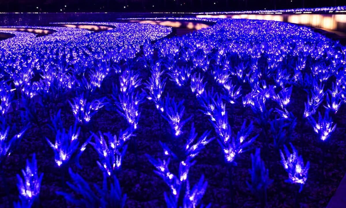    Фото t.me/parkkrd/3575