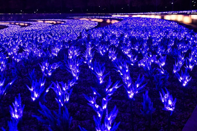    Фото: соцсети парка «Краснодар»