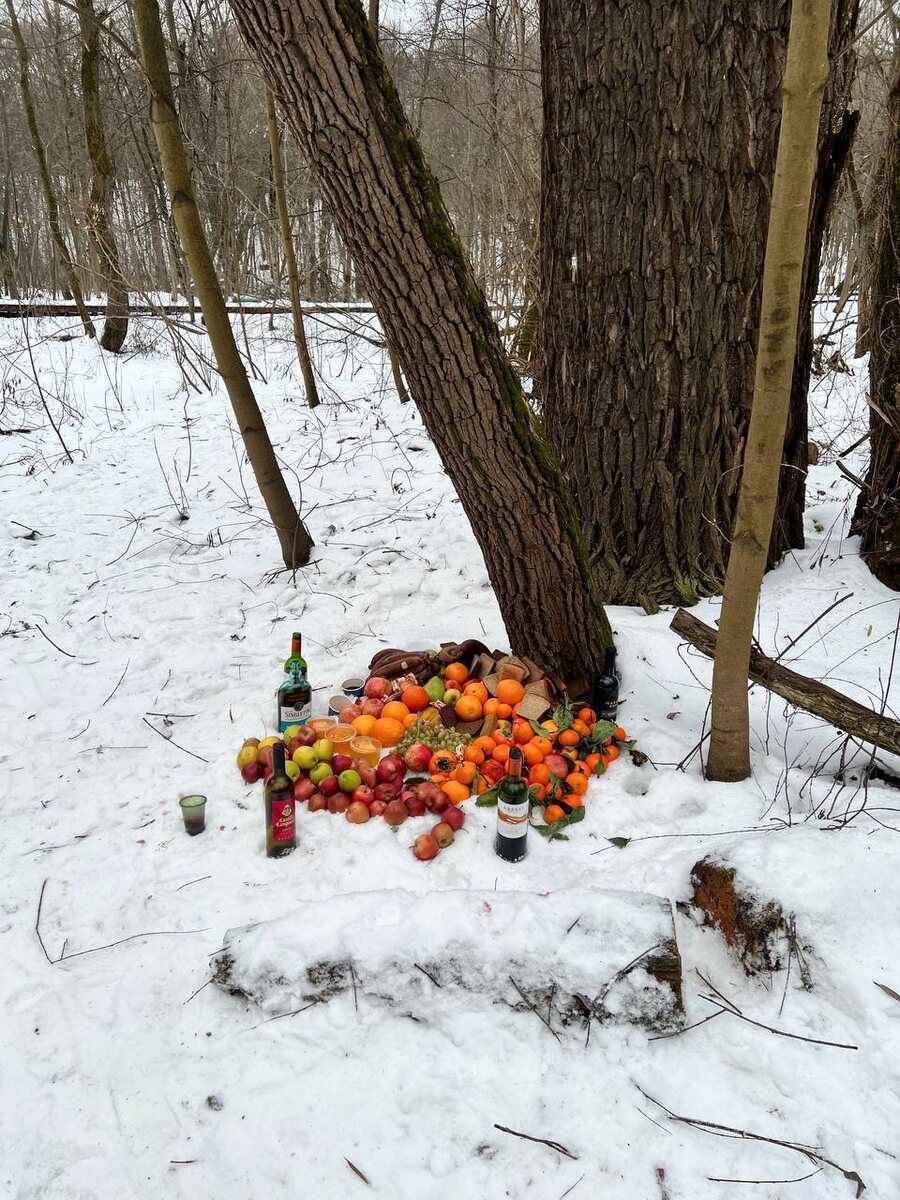 Фото из свободных источников. Следующее фото в карусели не рекомендуется к просмотру несовершеннолетним и впечатлительным людям.