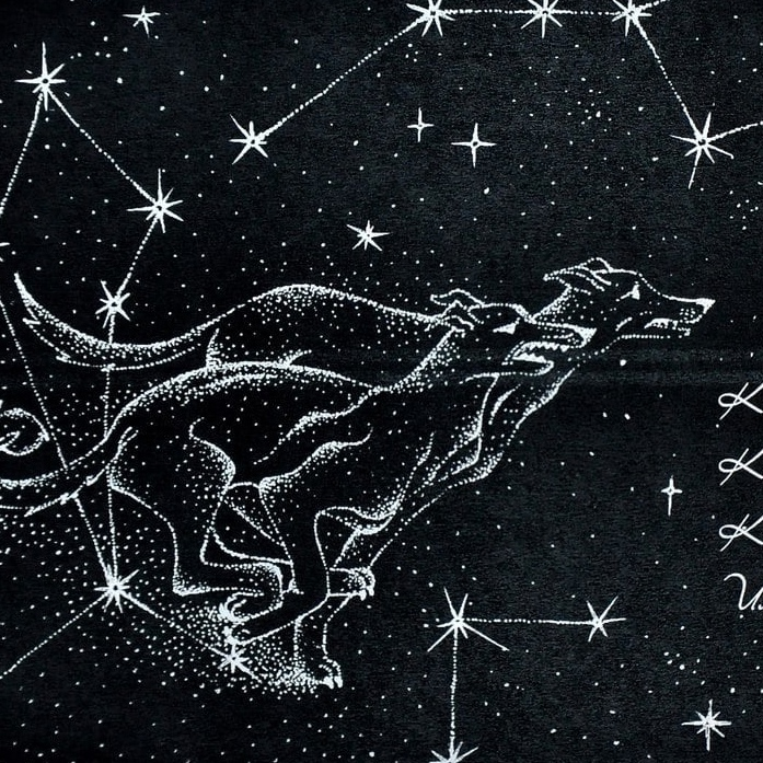 яндекс картинки