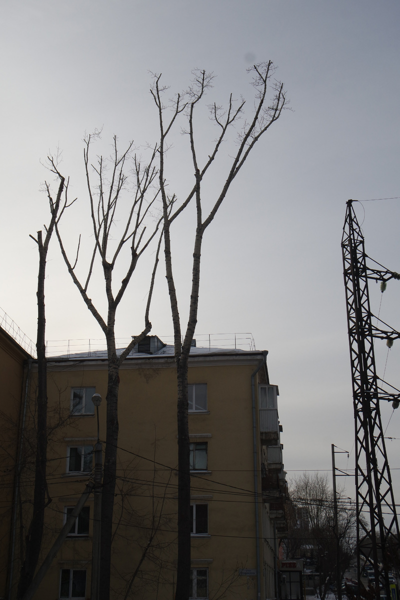 скандинавским нуаром повеяло, да? серость и безнадёжность... с налётом желтизны