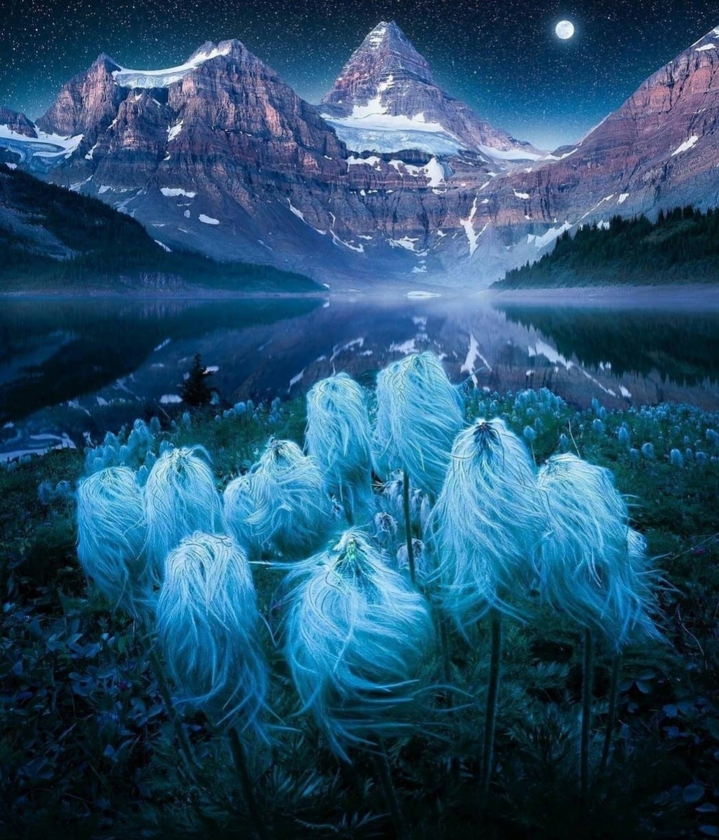 Автор фото: @cathsimard