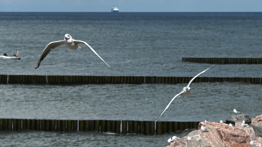    Фото: © РИА Новости/Владимир Федоренко