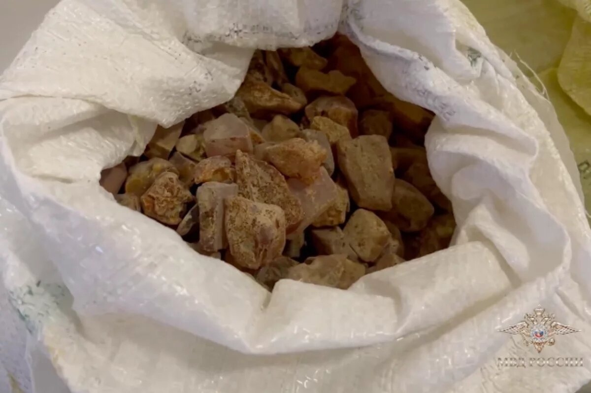    90 кг незаконно добытого янтаря обратили в госсобственность