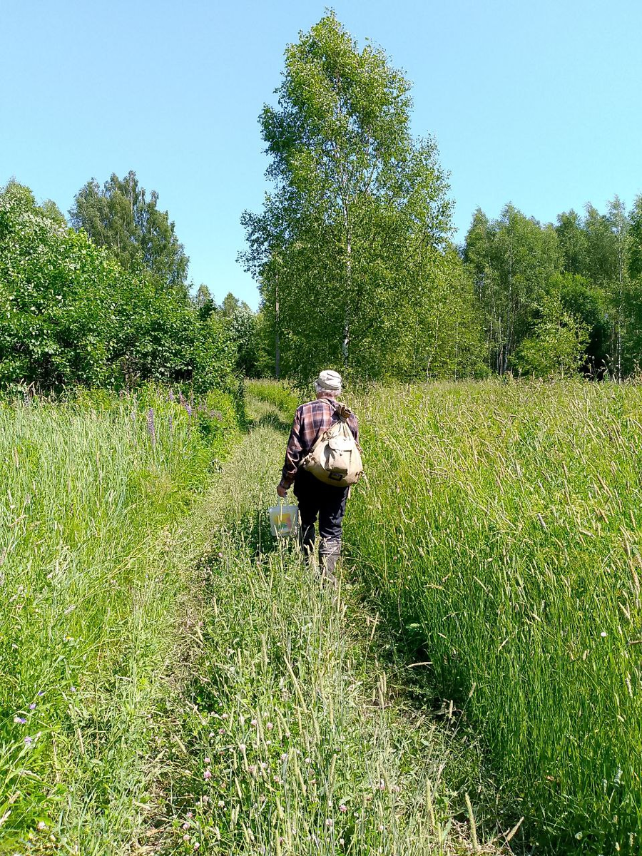 Мой дедушка