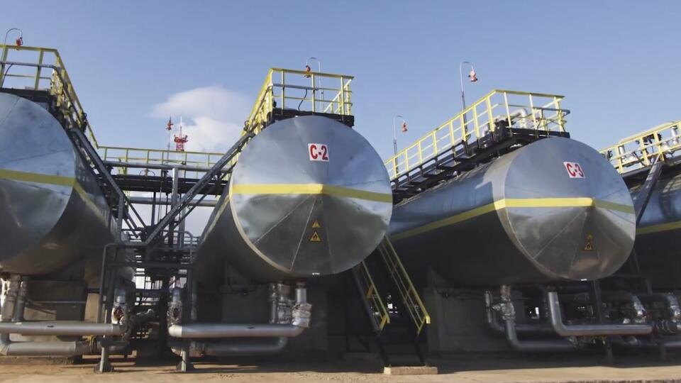 Фото: © Кадр из программы "Как устроен мир", РЕН ТВ