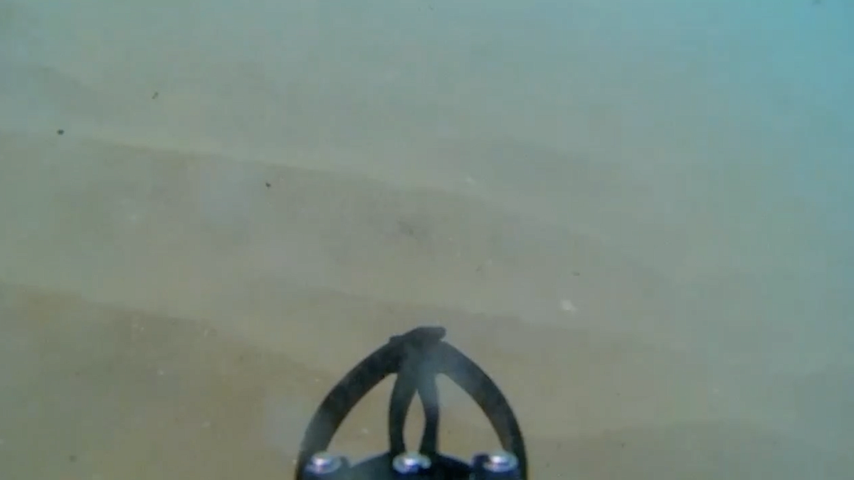    Фото: Министерство гражданской обороны и чрезвычайных ситуаций Краснодарского края