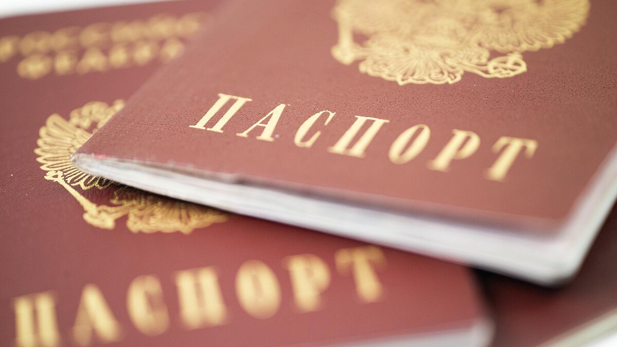    Фото: ИЗВЕСТИЯ/Телеканал «78»