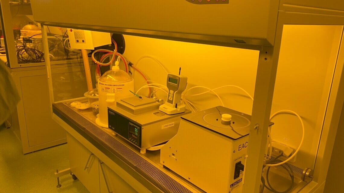 Фото: София Купченко.