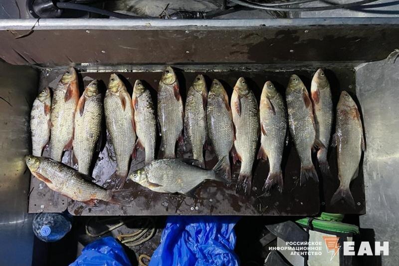    ЕАН. Архивное фото