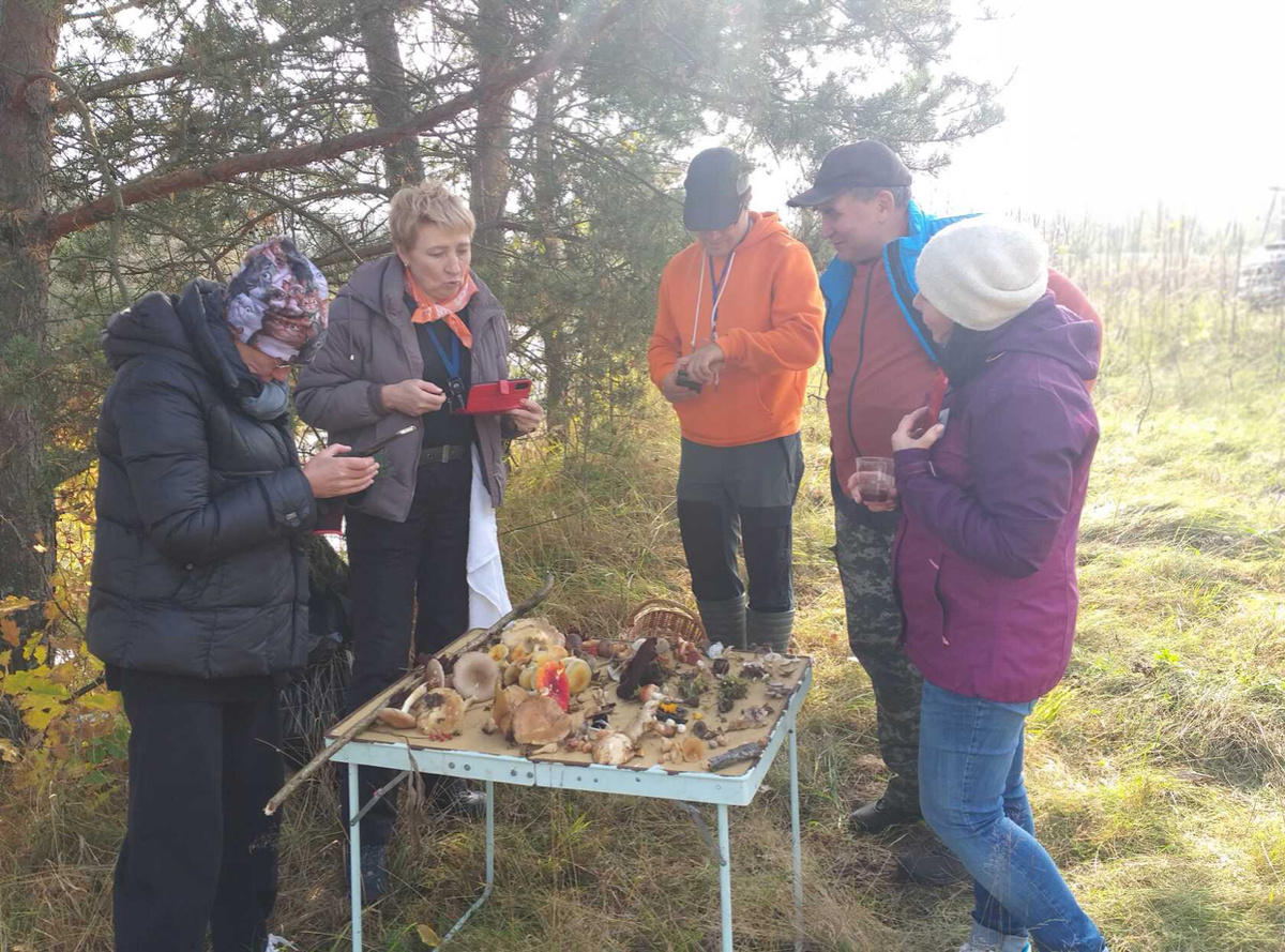 Только грибников можно считать разумными людьми….И то в периоды, когда они собирают грибы, мусор в лесу и изучают грибы