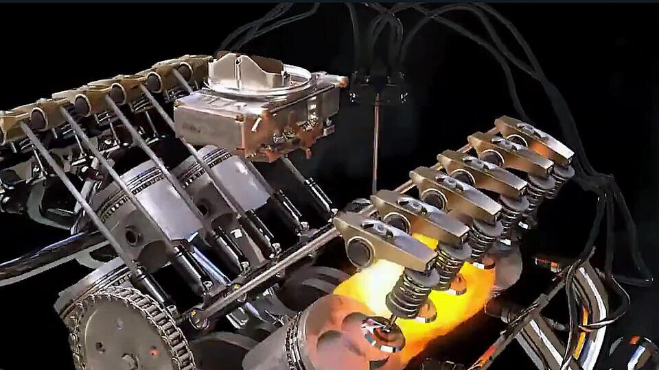 Фото: © Кадр из программы "Как устроен мир", РЕН ТВ