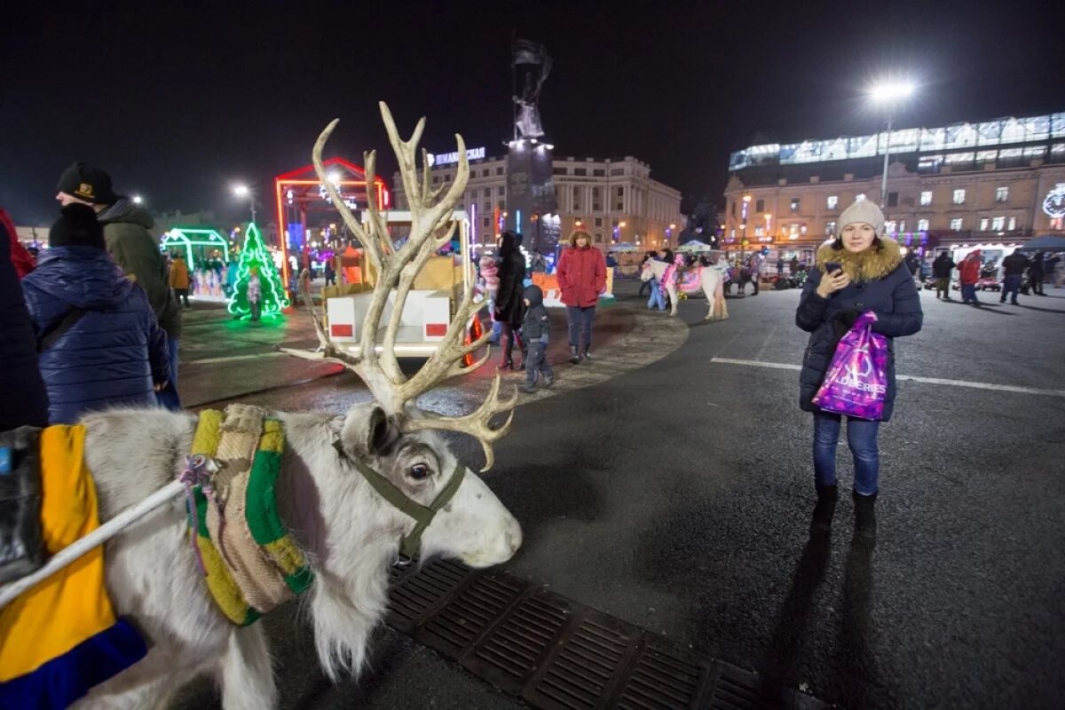    Конкурс на лучшую оленью упряжку пройдёт в Якутске в марте