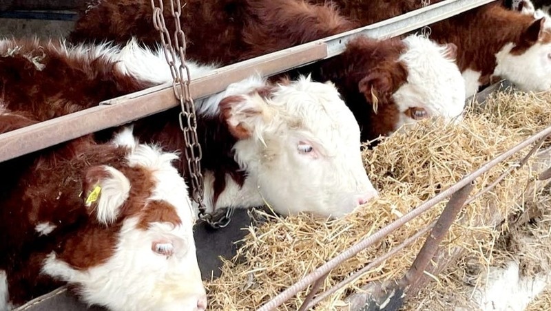      Фото: администрация Минераловодского округа