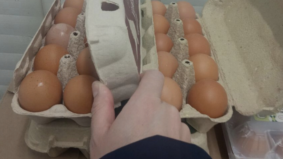 Это я смотрю йца на качество