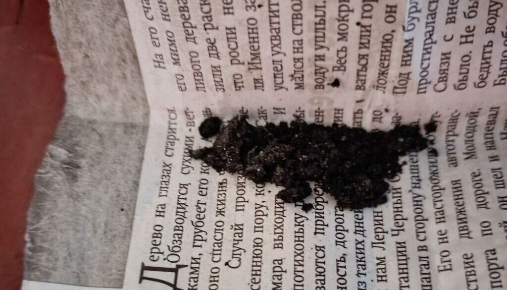    Житель Оренбургской области хранил в газете листья дикорастущей конопли