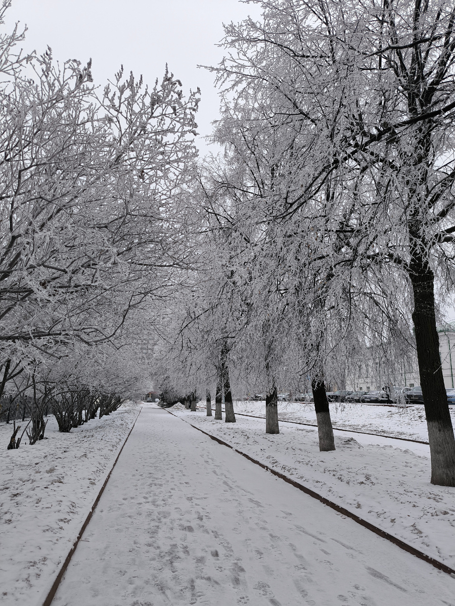 Всё фотографии в статье авторские