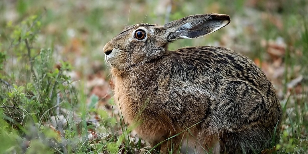 Когда фантазия зашкаливает: смешные названия цвета и оттенков.