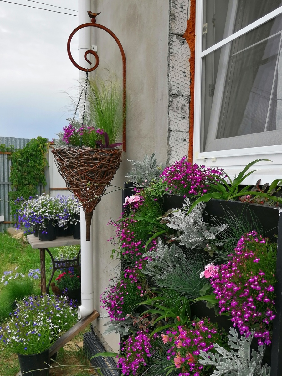 Контейнерный сад, 2023