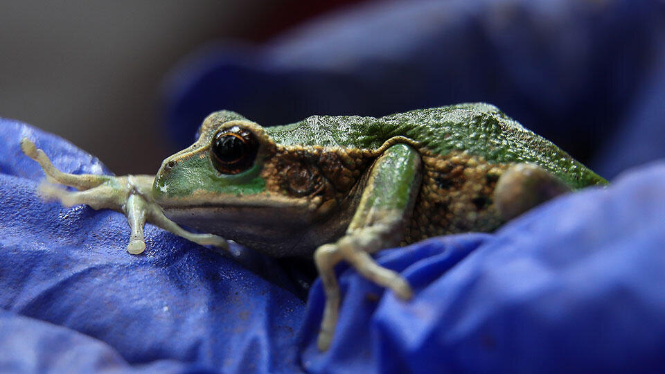 Фото: © TASS/EPA