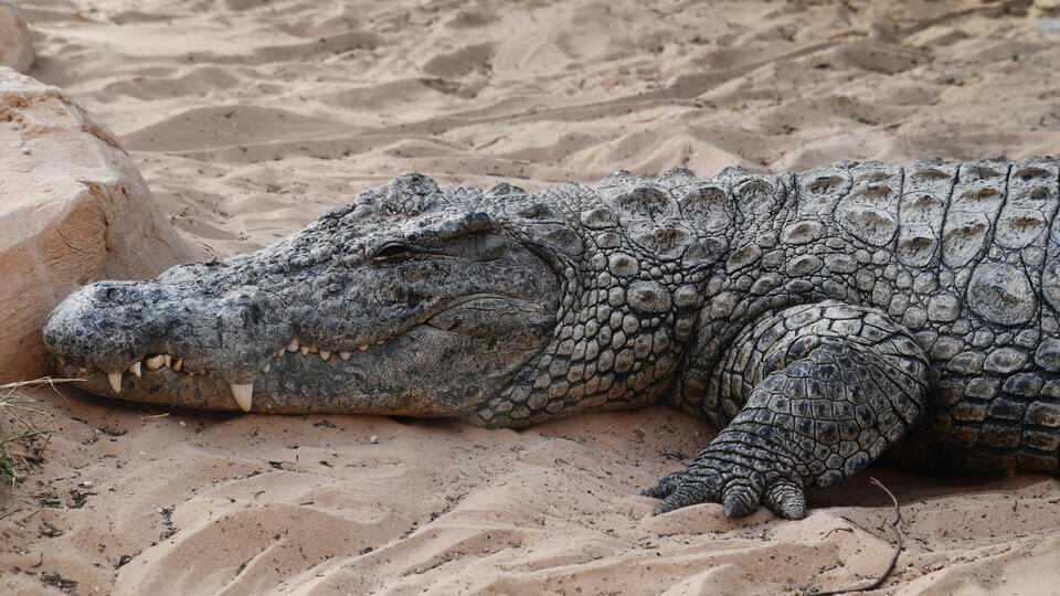 Фото: © РИА Новости/Наталья Селиверстова