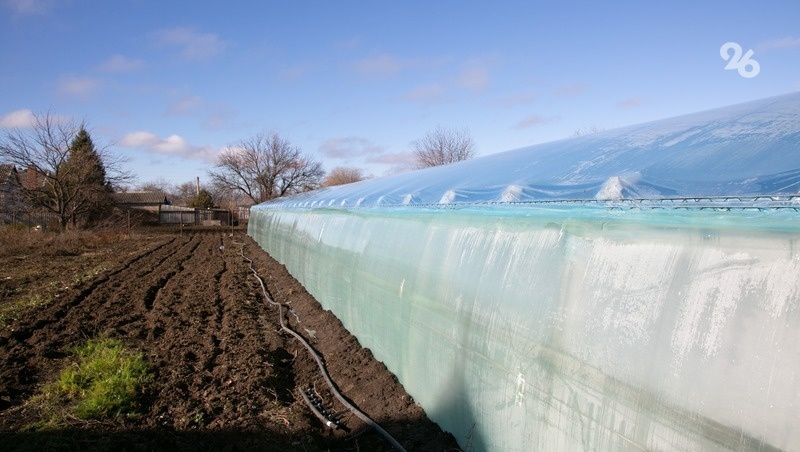      Фото: Валерия Алтухова / / ИА «Победа26»