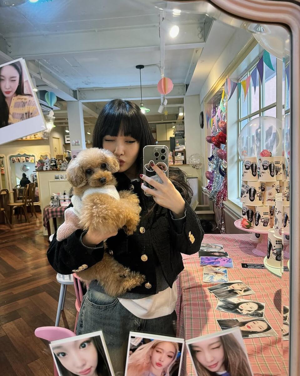    ЧонхаСоцсети