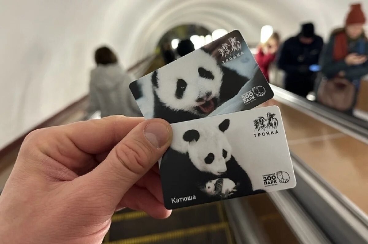    Новосибирская прокуратура взяла на контроль проблемы со «СберТройкой»