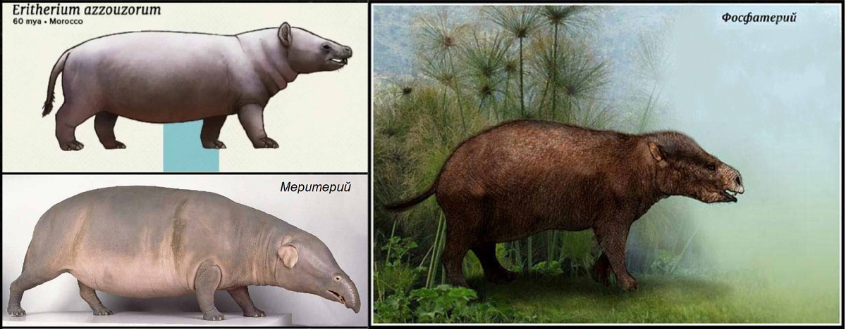 Эритерий, Фосфатерий, Меритерий