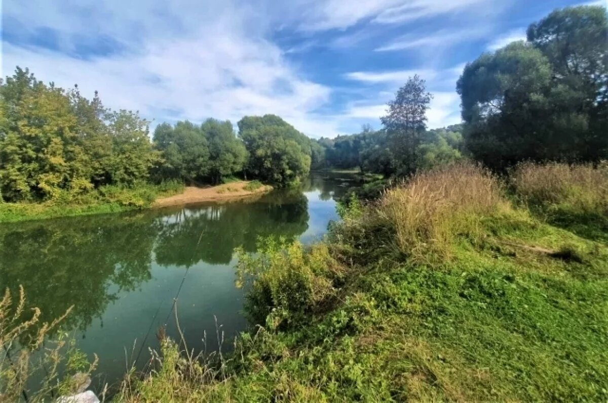    В Калужской области ожидают рекордно низкий уровень половодья