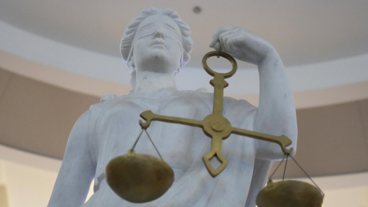    Фото: ИЗВЕСТИЯ/Дмитрий Коротаев