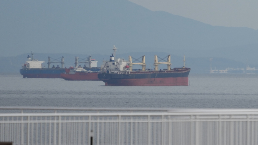    Фото: ИЗВЕСТИЯ/Дмитрий Коротаев; 5-tv.ru