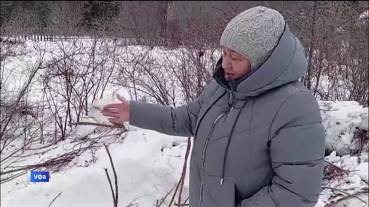    В Уфе 76-летняя пенсионерка неожиданно осталась без урожая зимой