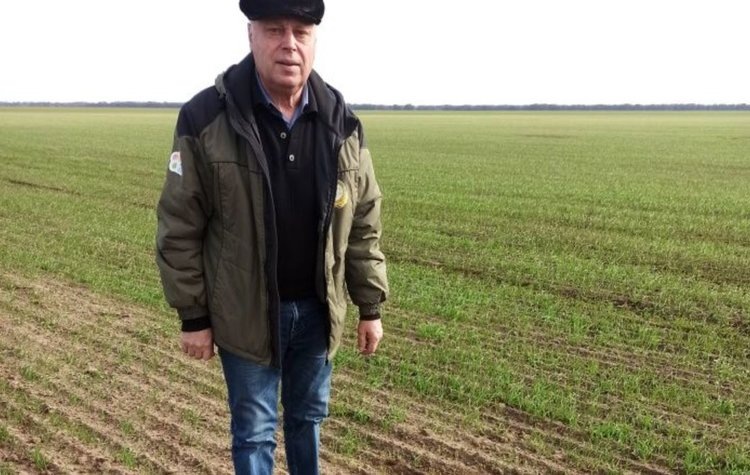    В Арзгирском округе Ставрополья специалистов беспокоит недостаточный запас влаги на озимых