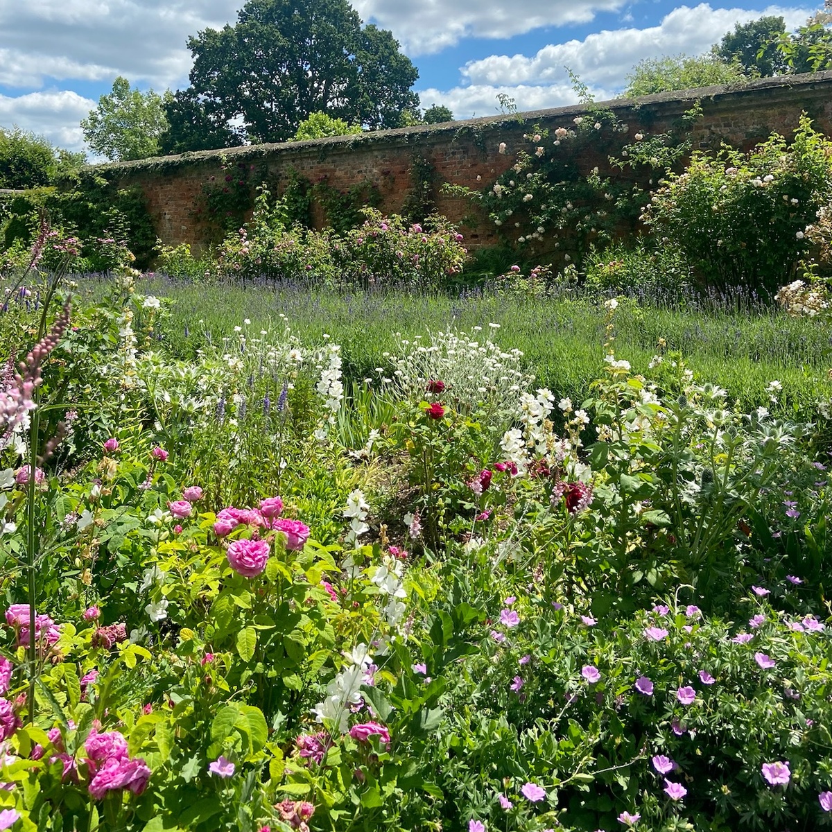 Вид на один из миксбордеров