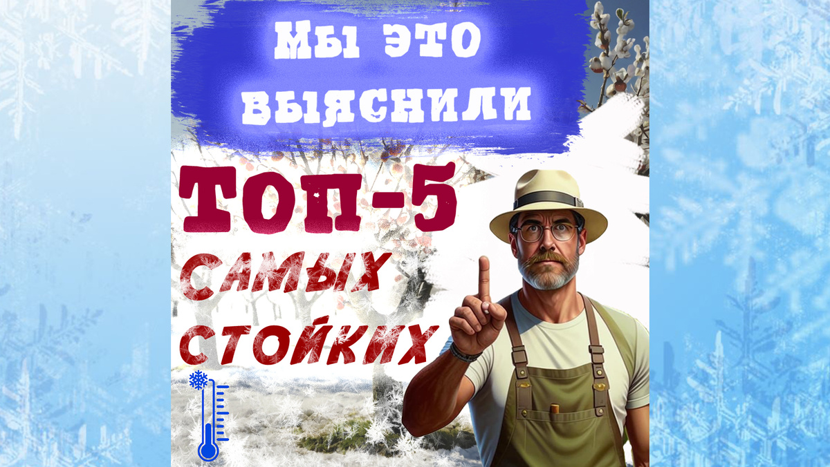 Топ 5 морозостойких плодовых деревьев в России