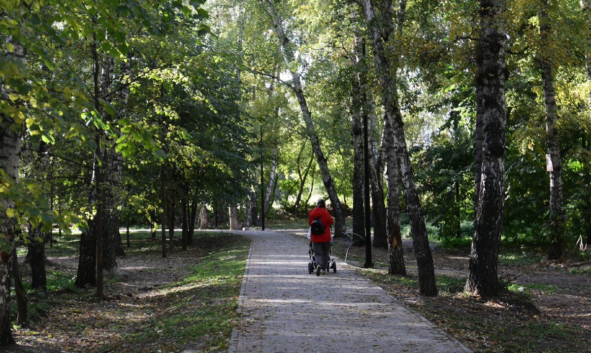 Фото: nsknews.info