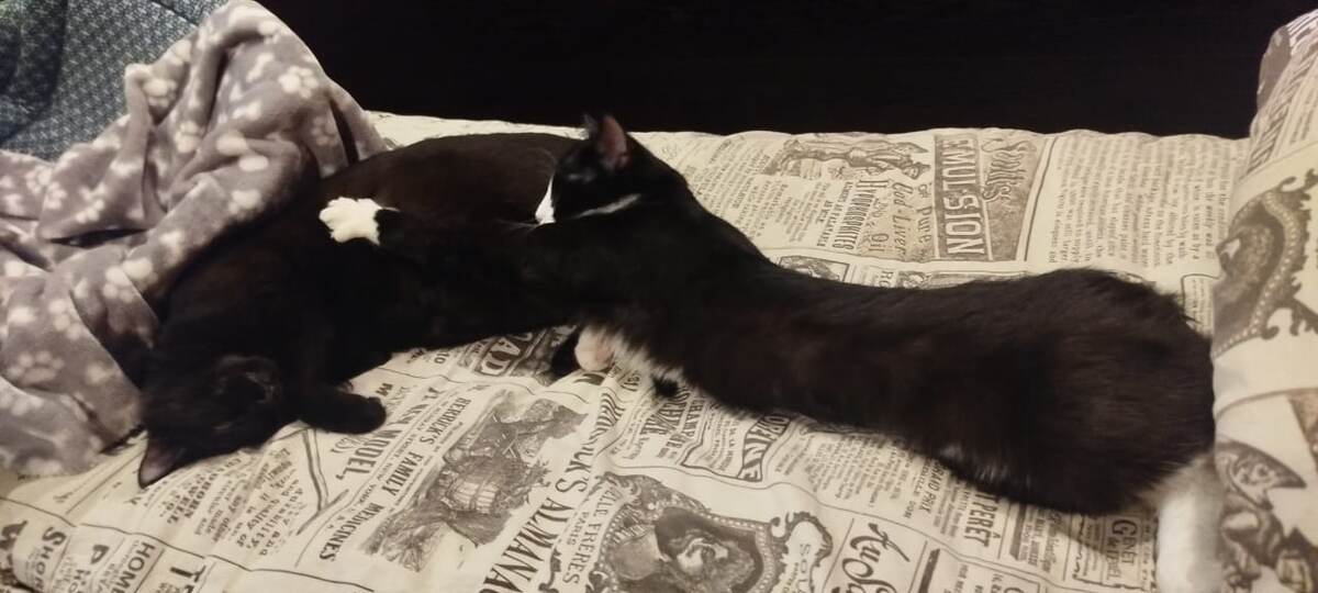 Санек и Тихон.