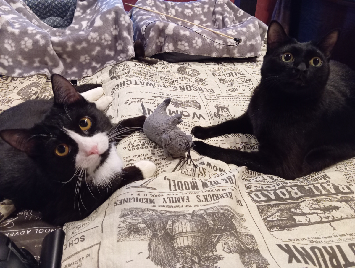 Санек и Тихон.