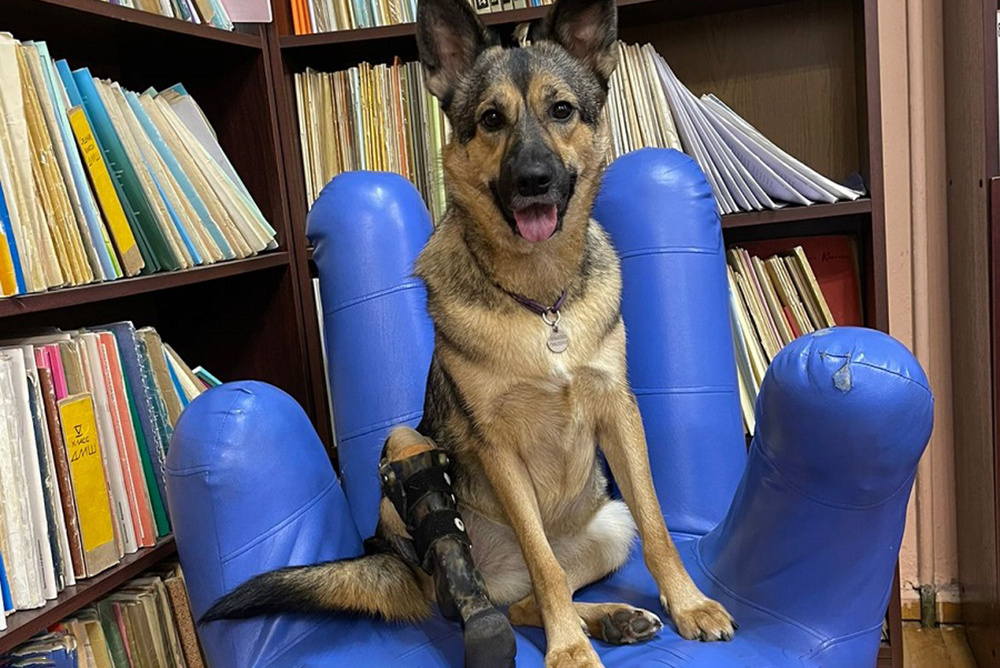    Собака Рона (Калининград, Россия). Фото: Личный архив Марии Хамзиной