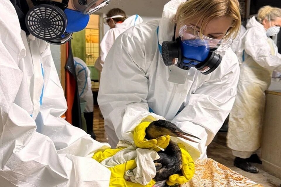 Фото: Алексей Горшков