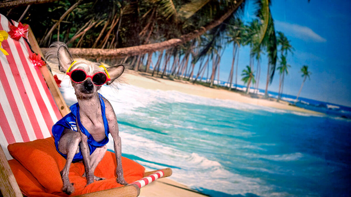 Хотите такое фото? Только не на Мальдивах!