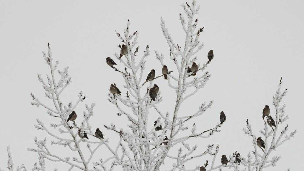    Sergey Elagin/Business Online/Globallookpress