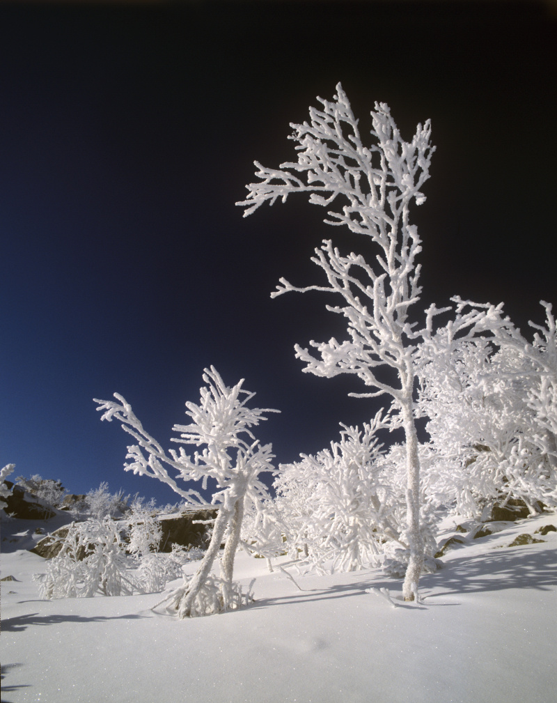    ФОТО: Sergey Elagin/Business Online/Global Look Press