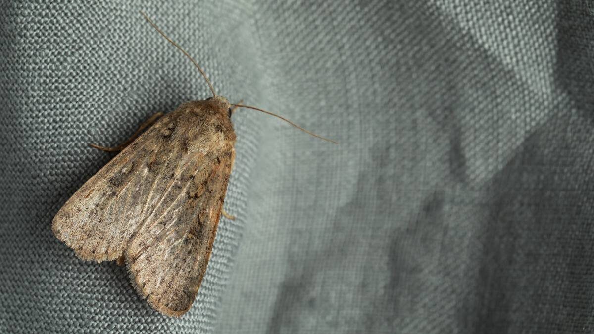    Фото: Shutterstock