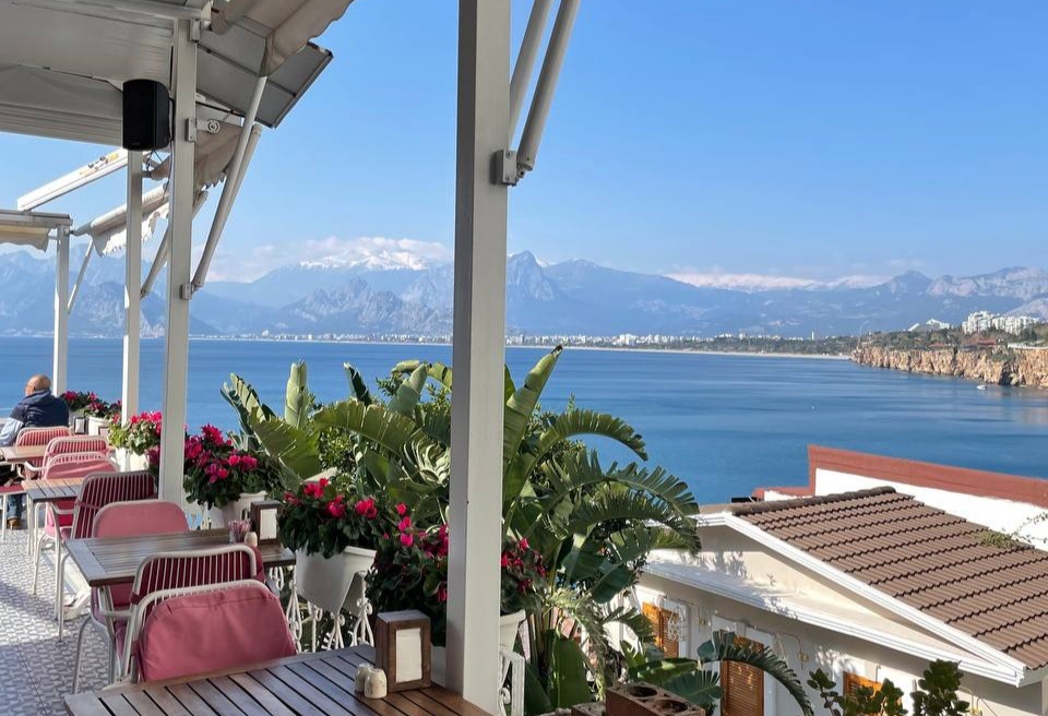 Фото сделано автором 10.02.2025