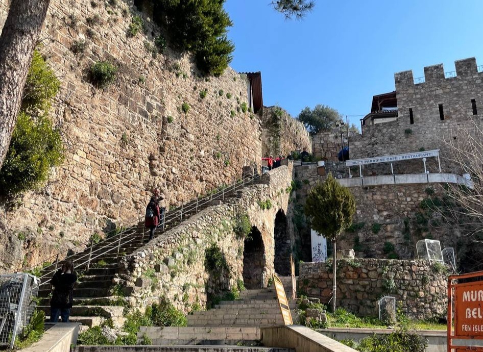 Фото сделано автором 10.02.2025